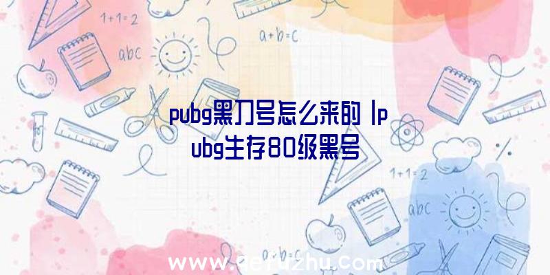 「pubg黑刀号怎么来的」|pubg生存80级黑号